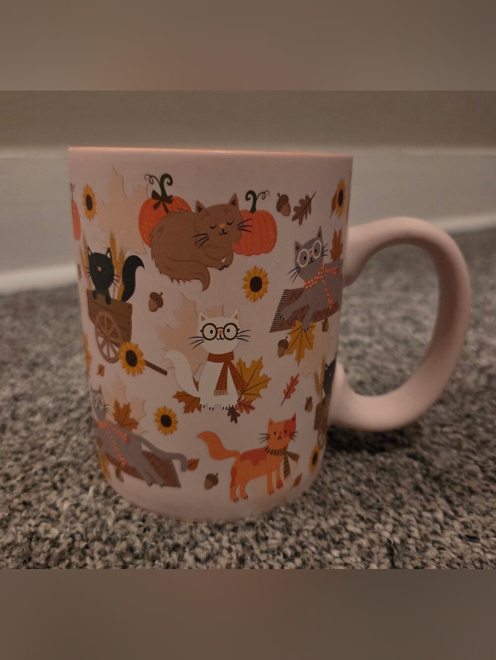 Pink Mug Cats Leaves & Pumpkins  Ceramic Mug